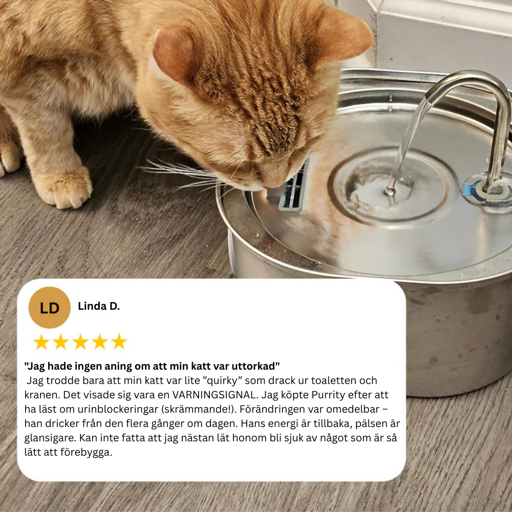 Skydda din katt från urinvägsinfektioner, urinsten och njursjukdomar med Purrity.