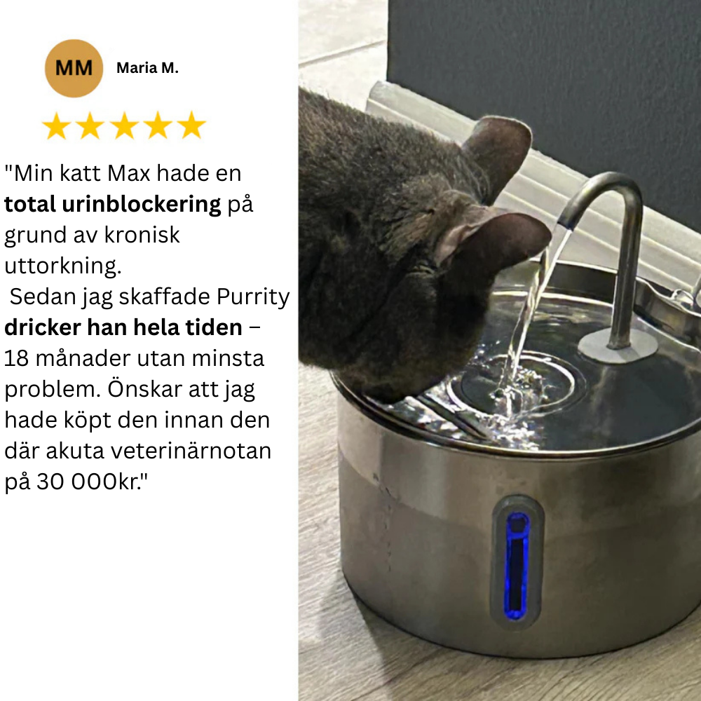 Skydda din katt från urinvägsinfektioner, urinsten och njursjukdomar med Purrity.
